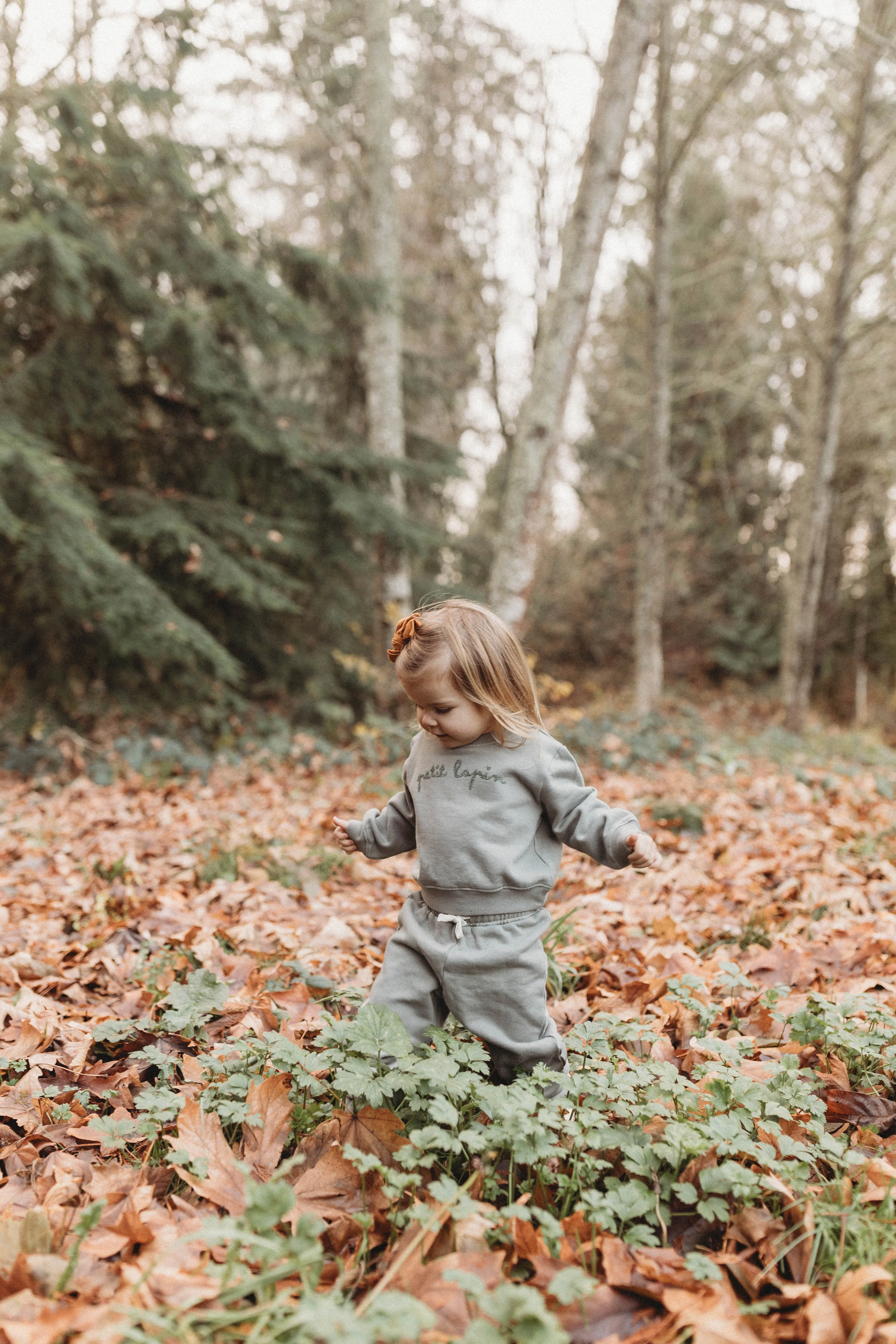 Finley | Cotton Fleece Sweatsuit Set | Petit Lapin | Mulled Basil